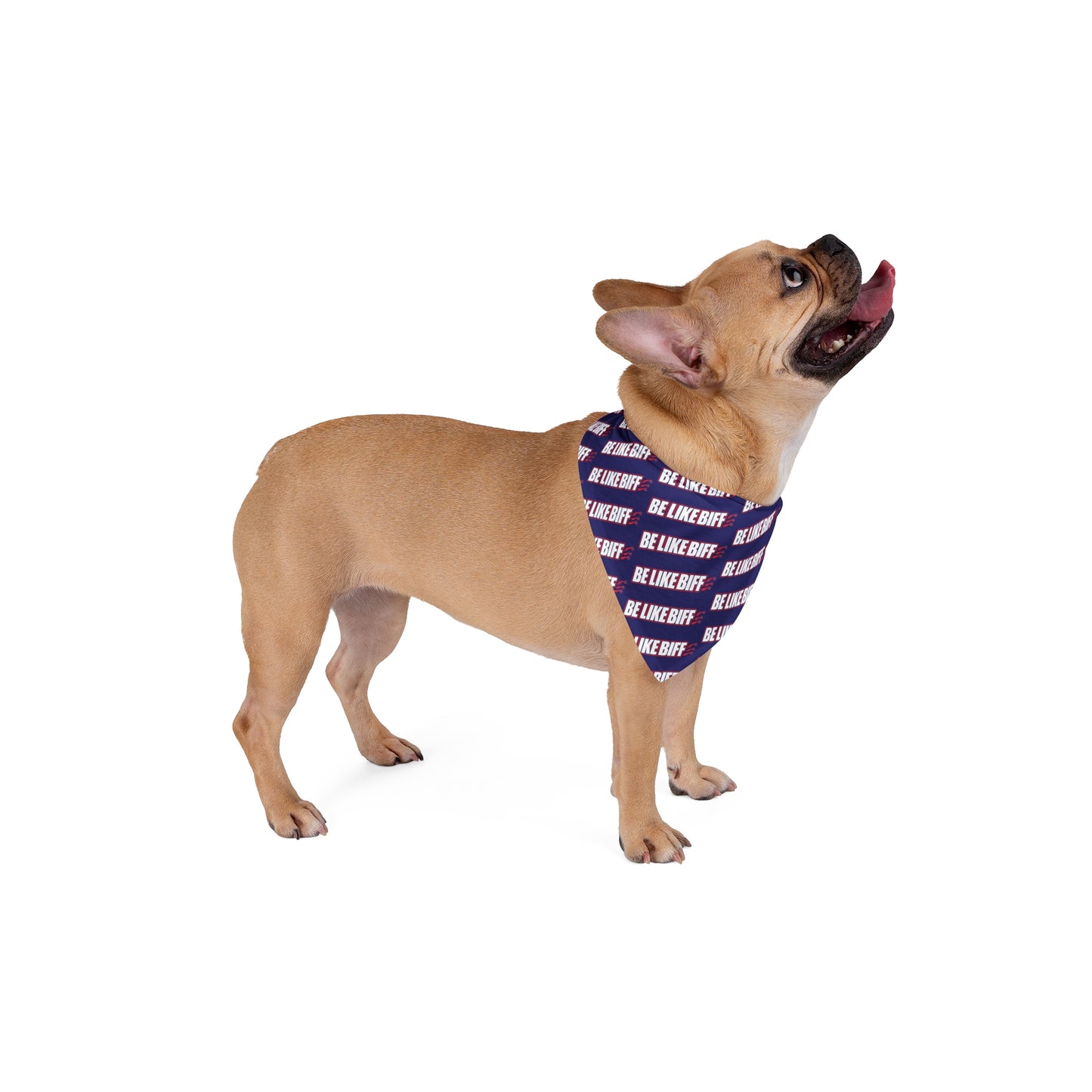 BE LIKE BIFF Pet Bandana