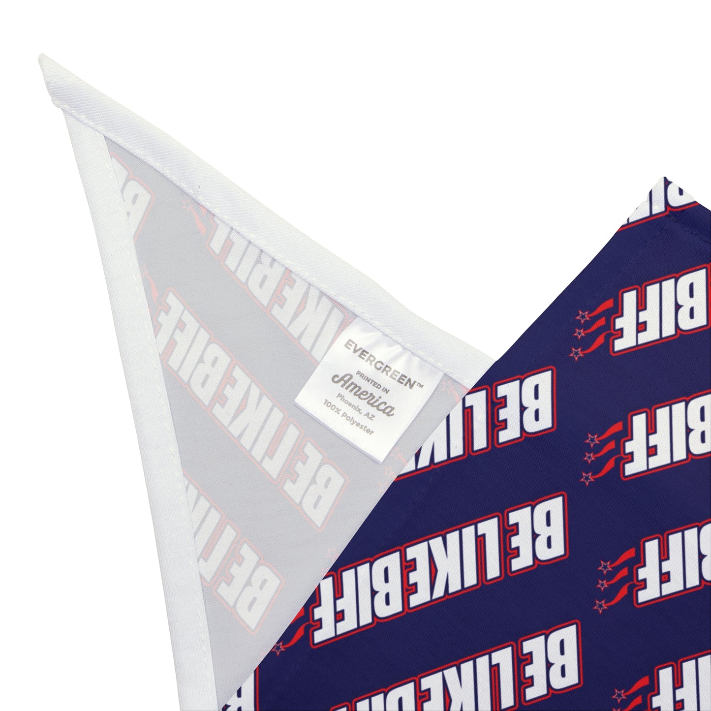 BE LIKE BIFF Pet Bandana